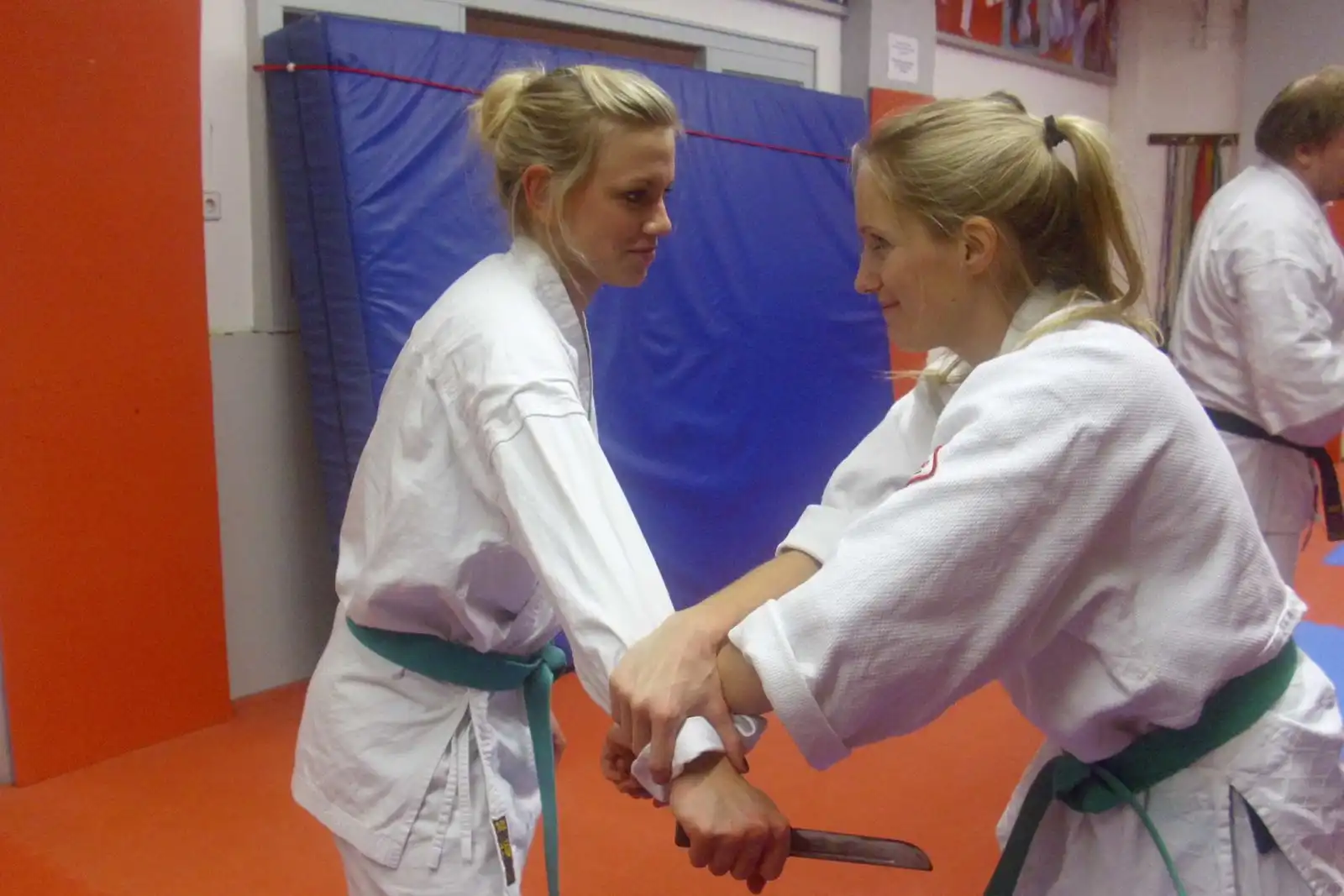 Jiu-Jitsu - Galeriebild 4 von 9: Training und Techniken