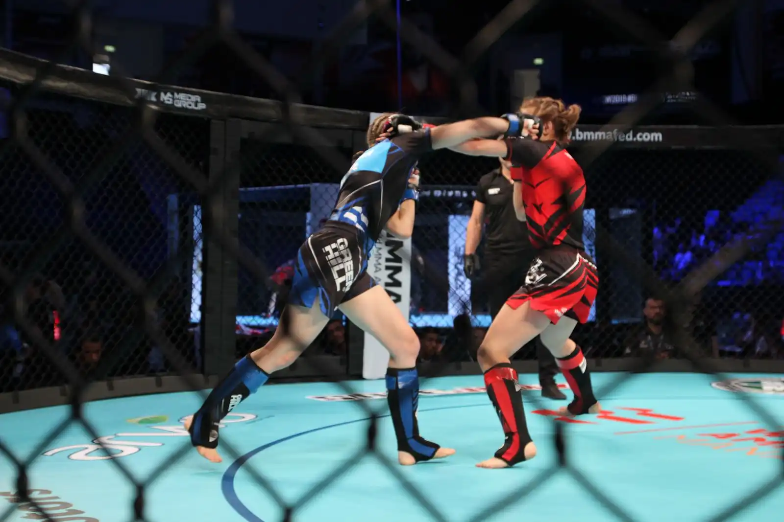 Mixed Martial Arts (MMA)